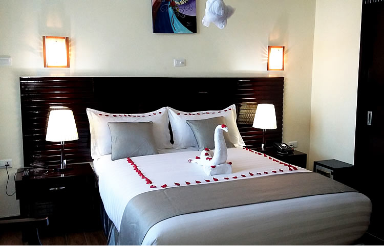 Comfort Single Room